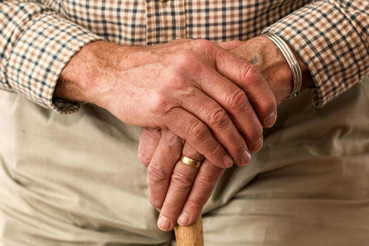 The Aging Brain: How Mushrooms Can Support Memory and Cognitive Function