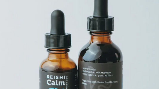 Unlocking the Health Benefits of Dual Extracted Mushroom Tinctures for Enhanced Immune Support