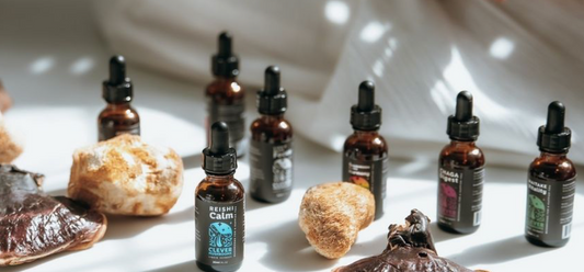 Top 7 Mushroom Tinctures for Boosting Health: A Complete Guide