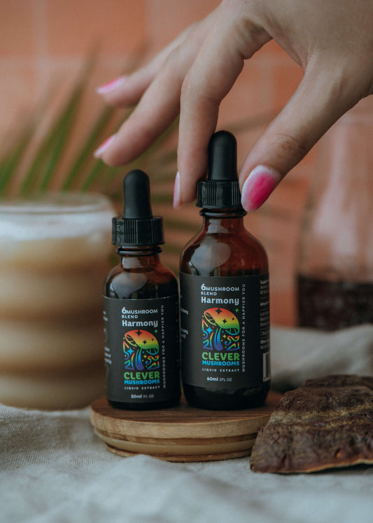 multi mushroom tinctures in amber dropper bottles from Clever Mushrooms. Highlighting why tinctures that are made with 100% fruiting bodies of mushrooms matter 
