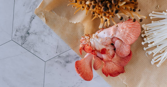 Exploring the Synergistic Benefits of Multi-Mushroom Blends: A Natural Path to Wellness