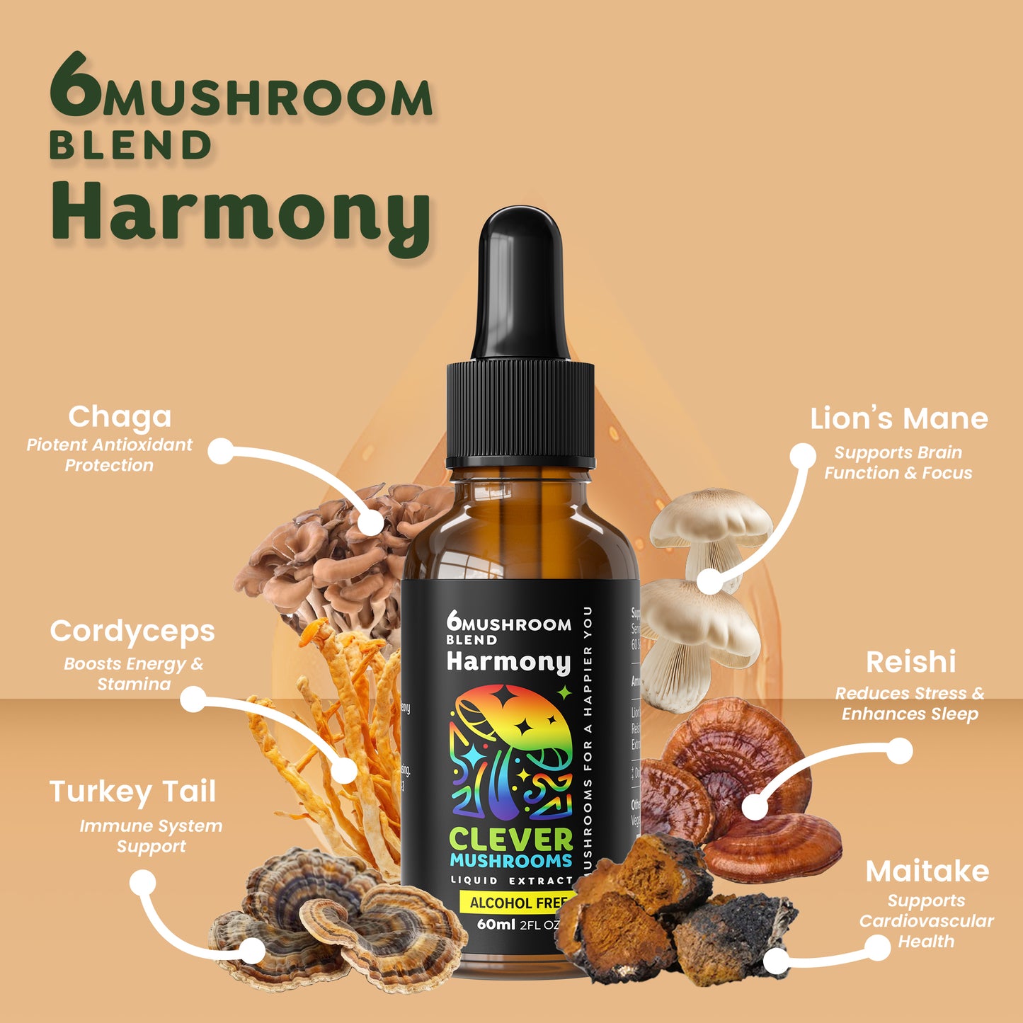 Our tinctures are derived from 100% fruiting bodies of mushrooms, sustainably grown in the USA to ensure superior quality and potency. Utilizing a dual extraction process, we capture both water and alcoh0l-soluble compounds, maximizing bioavailability for an optimal experience.