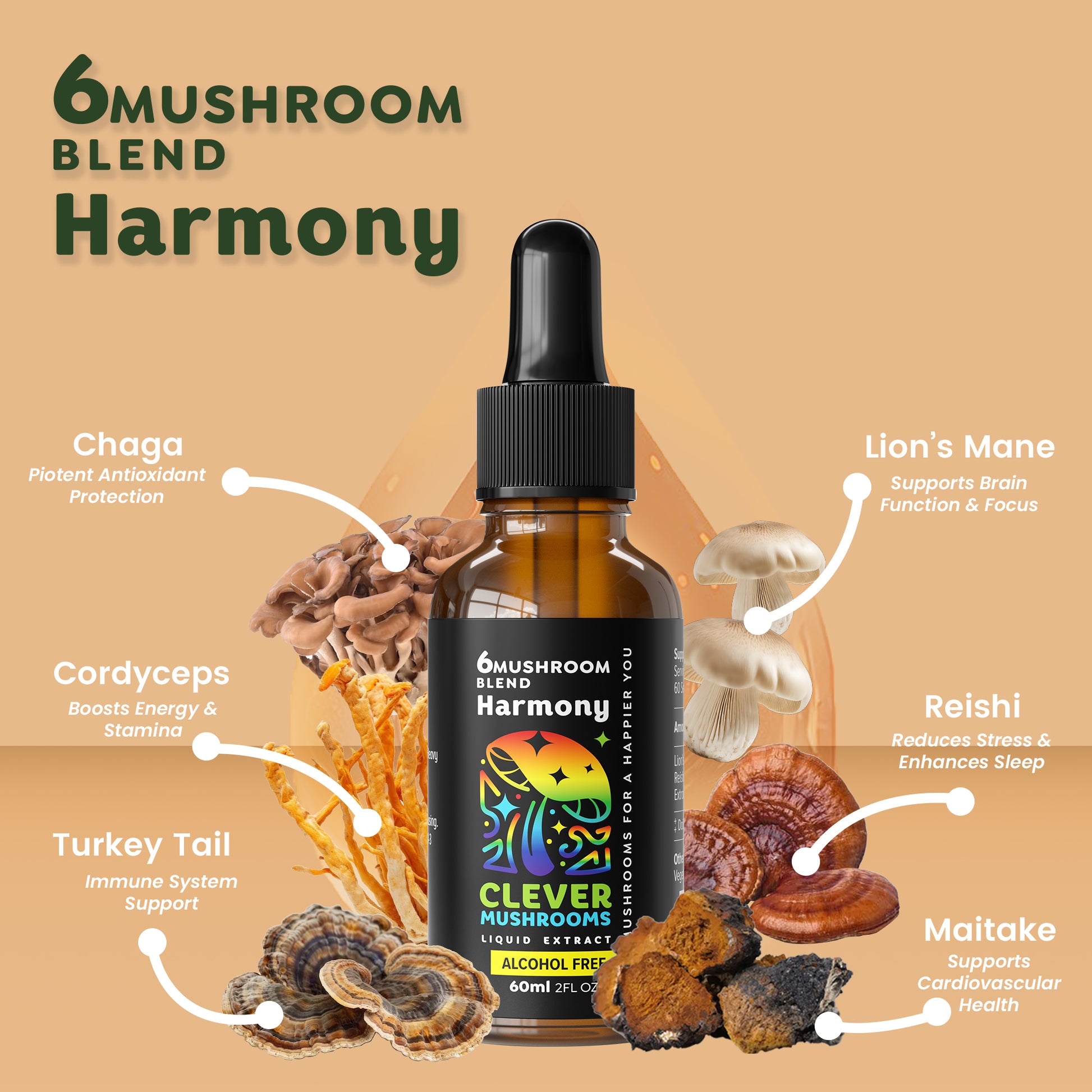 Our tinctures are derived from 100% fruiting bodies of mushrooms, sustainably grown in the USA to ensure superior quality and potency. Utilizing a dual extraction process, we capture both water and alcoh0l-soluble compounds, maximizing bioavailability for an optimal experience.