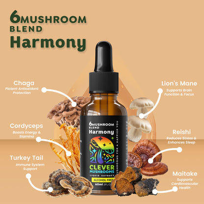 Our tinctures are derived from 100% fruiting bodies of mushrooms, sustainably grown in the USA to ensure superior quality and potency. Utilizing a dual extraction process, we capture both water and alcoh0l-soluble compounds, maximizing bioavailability for an optimal experience.