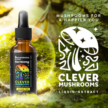 6 Blend Multi-Mushroom Tincture - Alcohol Free