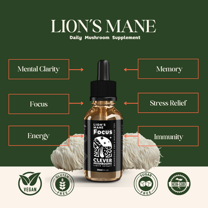 Lion's Mane Mushroom Tincture